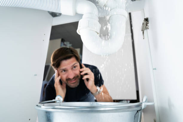 Best Sewer Line Repair  in Willow Oak, FL