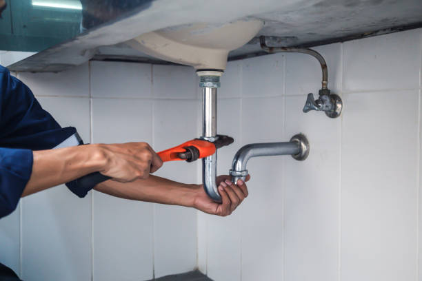 Best Plumbing Inspection Services  in Willow Oak, FL
