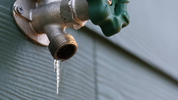 Best Gas Line Repair  in Willow Oak, FL